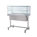 Thermoshowcase with trolley and shelf SDF Stainless steel structure Temperature °C +30 /+ 90 Thermostatic control Straight glass Capacity N. 4 TRAYS cm 35x45 Dim. Cm L 150 x P 53 x H 135 Model TCM150