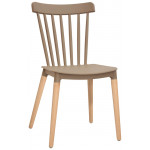 Indoor chair TESR Wood legs Polypropylene shell Model 1322-Z87