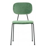 Indoor chair TESR Powder coated metal frame, velvet covering. Model 1865-FR04