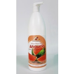 Flavoured syrup WATERMELON concentrated for slushes Bottles of gr.1000 in cartons of 6 bottles Model 853