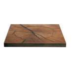 Indoor top TESR  Printed spruce laminated Model 029-SFB14
