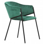 Indoor armchair TESR Powder coated metal frame, velvet covering. Model 1939-UK02