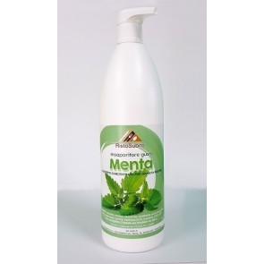 Flavoured syrup MINT concentrated for slushes Bottles of gr.1000 in cartons of 6 bottles Model 862