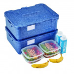 Meal delivery solution Isothermal container PAVONI Model TB4317C