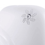 Fragrance diffuser  MDL Model EXPLOSION 117000