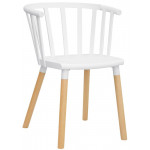 Indoor armchair TESR Powder coated metal frame, wood legs, polypropylene shell Model 1525-D24