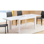 Indoor table TESR Powder coated metal frame, tempered glass top and extension Model 1460-78DT