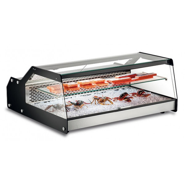 Refrigerated countertop fish display Model FISHOW100