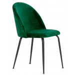 Indoor chair TESR Powder coated metal frame, velvet covering. Model 1761-JB1