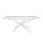 Indoor table TESR Powder coated metal frame, 10 mm tempered glass top and extension Model 1442-A58
