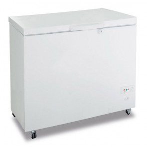 Static chest freezer with solid hinged lids Model FR300PSK