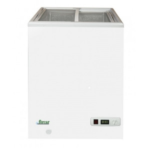 Deep-freezer Model SD100S