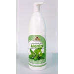 Flavoured syrup MINT concentrated for slushes Bottles of gr.1000 in cartons of 6 bottles Model 862