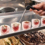 Blast chiller Model DOLOMITI 10 GELATERIA