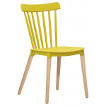 Indoor chair TESR Wood legs Polypropylene shell Model 1322-Z87