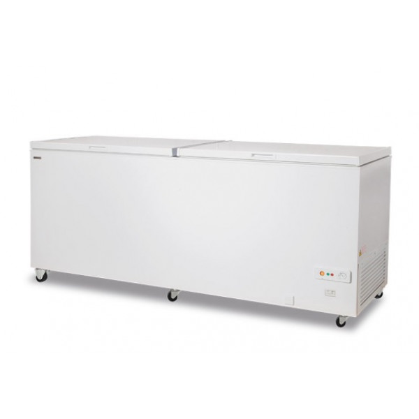Static chest freezer with solid hinged lids Model FR600PSK