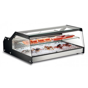 Refrigerated countertop fish display Model FISHOW100