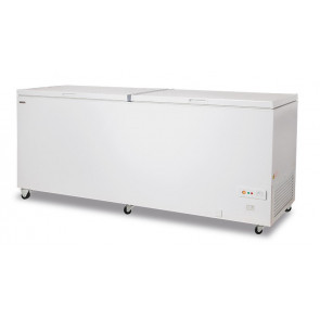Static chest freezer with solid hinged lids Model FR600PSK
