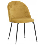 Indoor chair TESR Powder coated metal frame, velvet covering. Model 1761-JB1