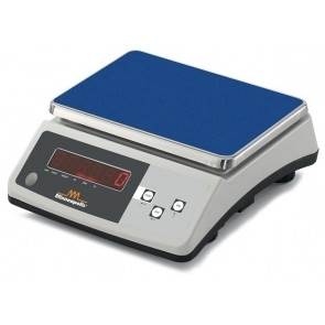 Scale Model MINNEAPOLIS 30/1 Max weight 30 Kg Division 1 gr