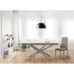 Indoor table TESR Powder coated metal frame, 10 mm tempered glass top and extension Model 1442-A58