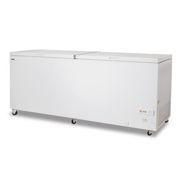 Static chest freezer with solid hinged lids Model FR600PSK