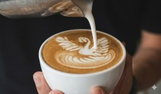 Bar e Caffetteria