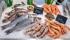 Pescheria