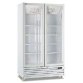 Armadio Frigo Refrigerato ventilato 2 porte Modello ICOOL110WHITE