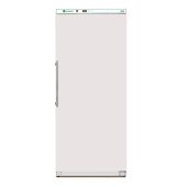 Armadio congelatore Modello G-EFV600