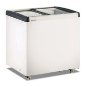 Congelatore doppia temperatura statico con vetro piatto scorrevole Modello FRC250PFF