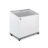 Espositore / conservatore per gelati e surgelati Modello FIVS500