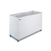 Espositore / conservatore per gelati e surgelati Modello FVS400