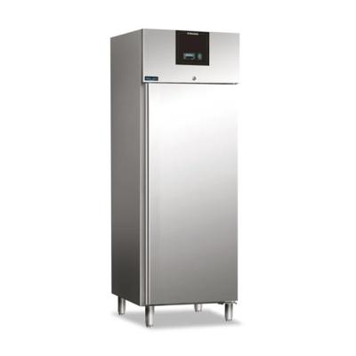 Armadi congelatori 600-700 litri