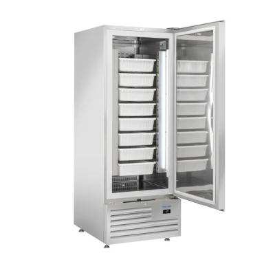 Armadi frigo pescheria