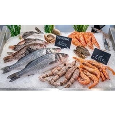 Pescheria