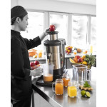 Centrifuga Professionale Modello J100 Velocità costante 3000 giri/min - Produzione fino a 160 litri/h - Potenza W 1000