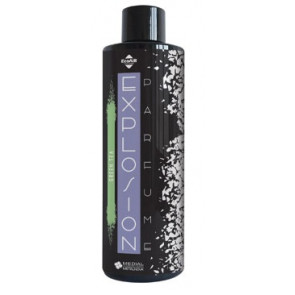 Profumatore liquido per nebulizzatori automatici (Green Tea)  MDL Modello EXPLOSION PARFUME 86000627 CONFEZIONE DA 4 PEZZI