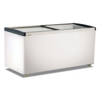 Congelatore doppia temperatura statico con vetro piatto scorrevole Modello FRC600PFF