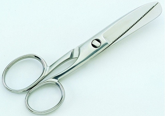 PINZE A SPINA di pesce pelatore aglio acciaio inox regalo buone EUR 1