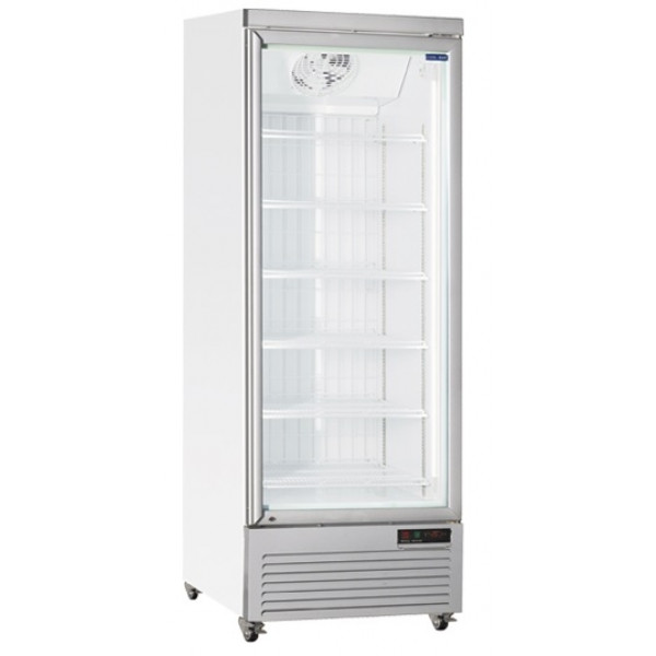 Armadio Frigo Refrigerato Modello RFG750 Porte a vetro