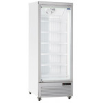 Armadio Frigo Refrigerato Modello RFG750 Porte a vetro