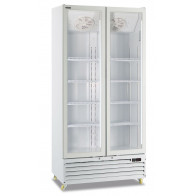 Armadio Frigo Refrigerato ventilato 2 porte battente Modello ICOOL80WHITE