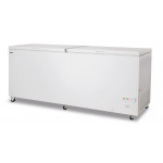 Congelatore statico a pozzetto con porta cieca battente Modello FR600PSK