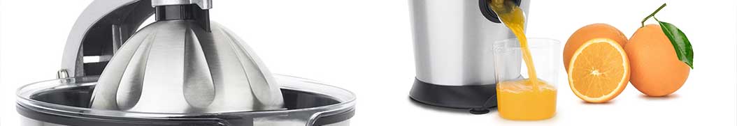 Professional juicer for sale online Professional juicer for sale online